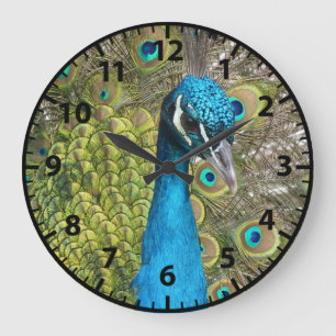 Peacock Peacocks Birds Clock