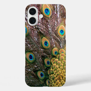 Peacock Peafowl Eyes and Feathers iPhone 16 Plus Case