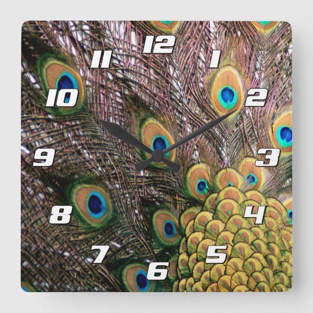 Peacock Peafowl Eyes and Feathers Square Wall Clock (Front)