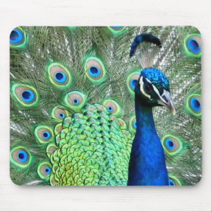 PEACOCK PEAFOWL PHOTO MOUSE MAT