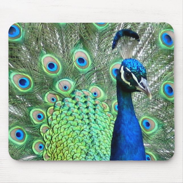 PEACOCK PEAFOWL PHOTO MOUSE MAT (Front)