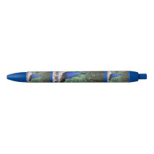 Peacock Pen