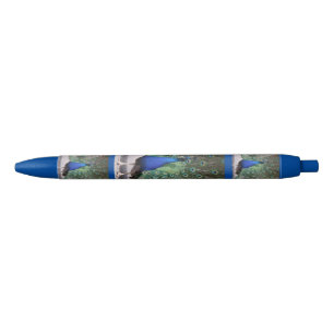 Peacock Pen