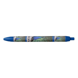 Peacock Pen