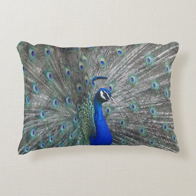 PEACOCK PHOTO ACCENT PILLOW (Front)