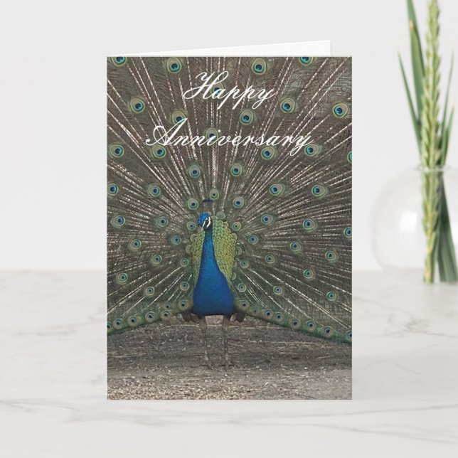 PEACOCK PHOTO ANNIVERSARY GREETING CARD (Front)