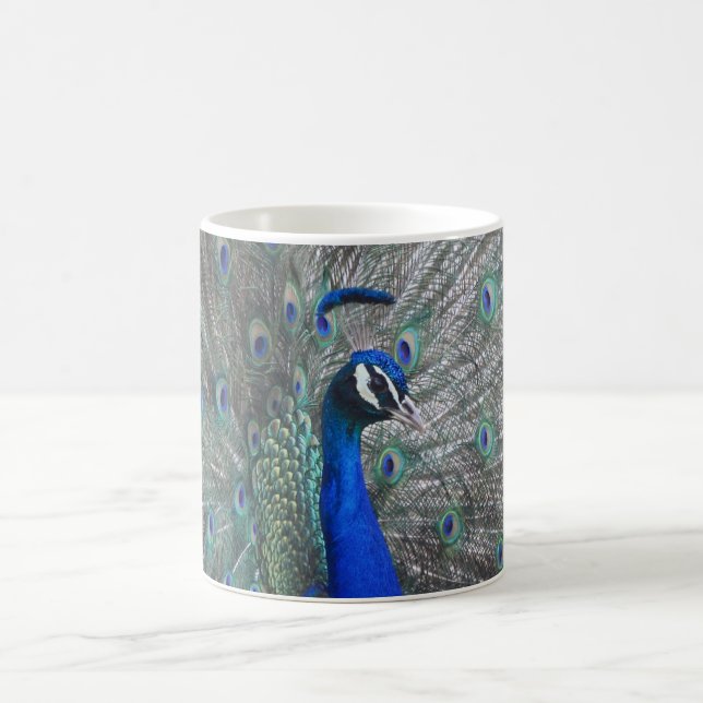 PEACOCK PHOTO COFFEE MUG  (Center)