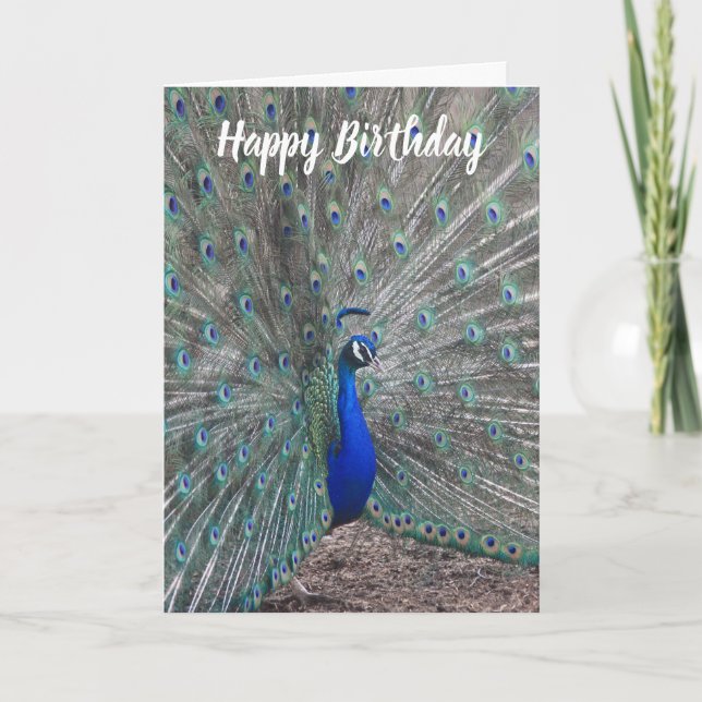 PEACOCK PHOTO HAPPY BIRTHDAY GREETING CARD  (Front)