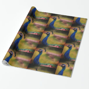 Peacock Photo Matte Wrapping Paper