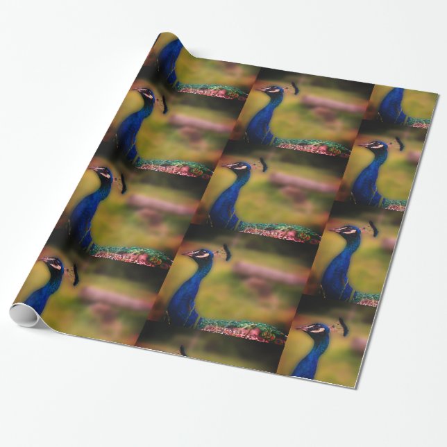Peacock Photo  Matte Wrapping Paper (Unrolled)