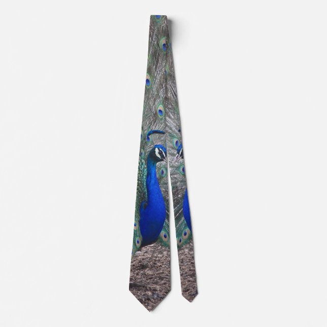 PEACOCK PHOTO NECK TIE (Front)