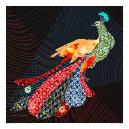 Peacock Photo Print