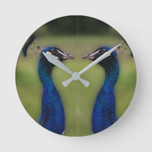Peacock Photo Round (Medium) Wall Clock
