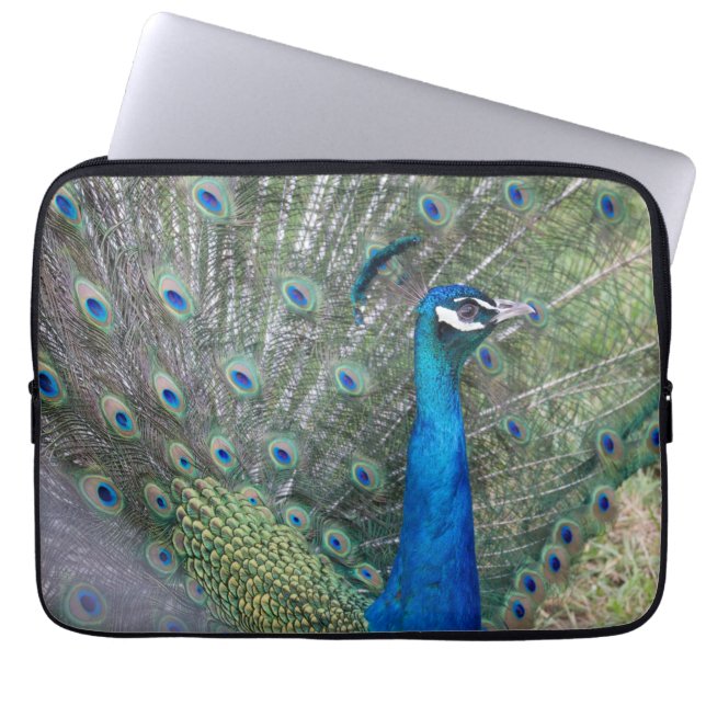 Peacock Photography Laptop Sleeve (Front)