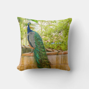 Peacock Pillow 1