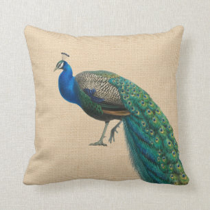 Peacock Pillow Colourful one of two matching