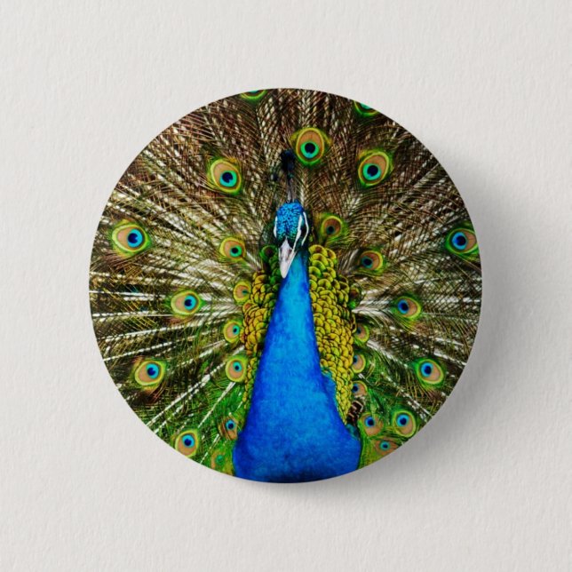 Peacock Pin (Front)