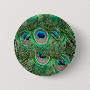 Peacock plumage 6 cm round badge
