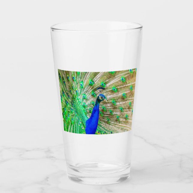 Peacock Plumage Glass (Front)