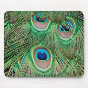 Peacock plumage mouse mat