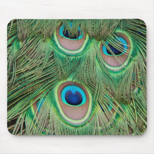 Peacock plumage mouse mat (Front)