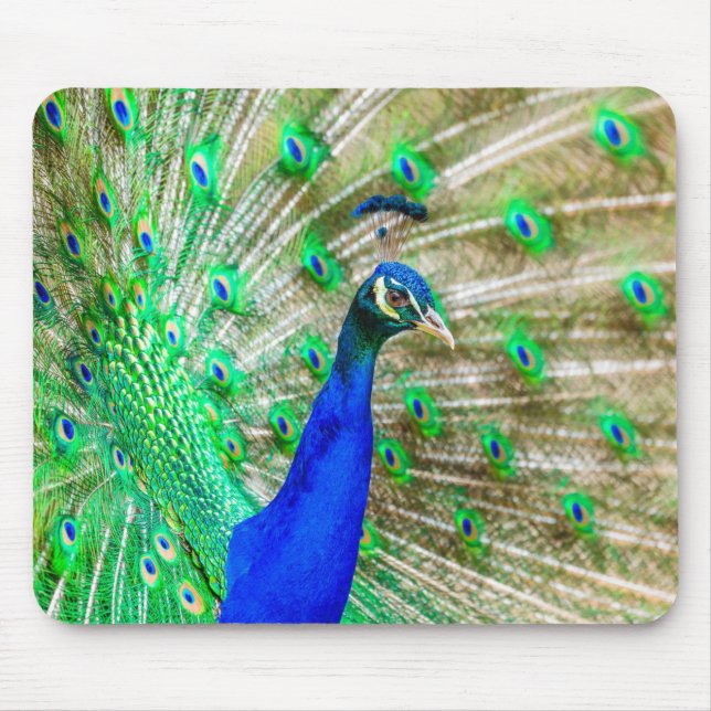 Peacock Plumage Mouse Mat (Front)