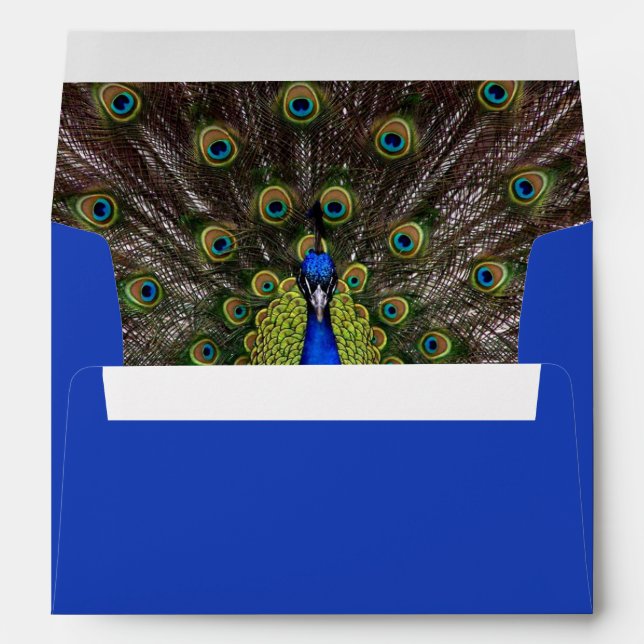 Peacock Plume Envelope (Back (Bottom))