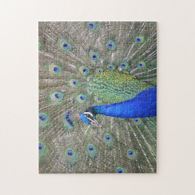 Peacock Plumes Puzzle (Vertical)