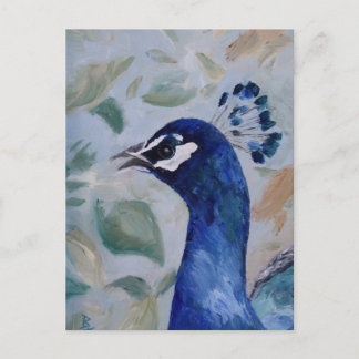 Peacock Portrait Postcard