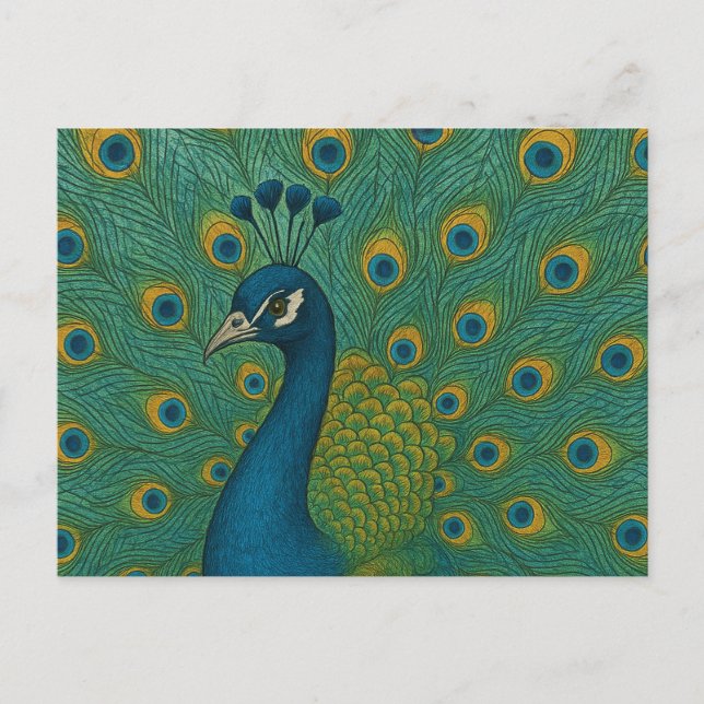 Peacock                                            postcard (Front)