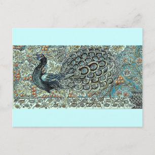 Peacock Postcard