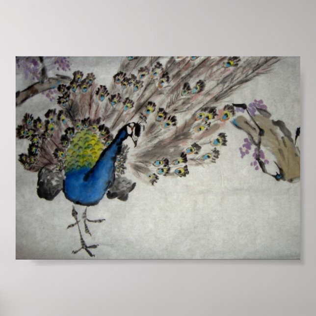 Peacock Poster (Front)