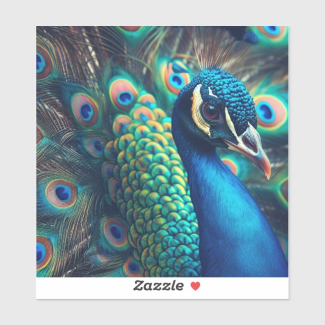 Peacock Profile (Sheet)