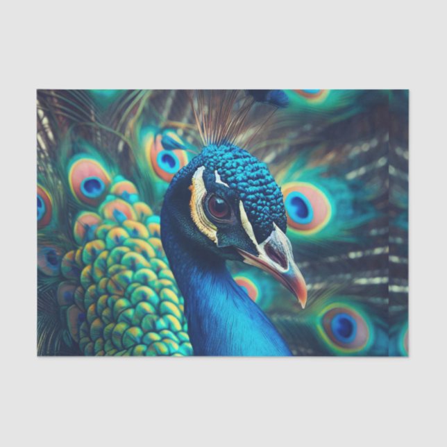 Peacock Profile Tissue Paper (Front)