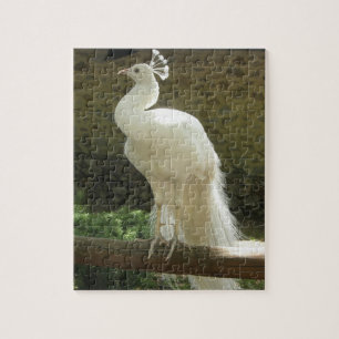Peacock Puzzle