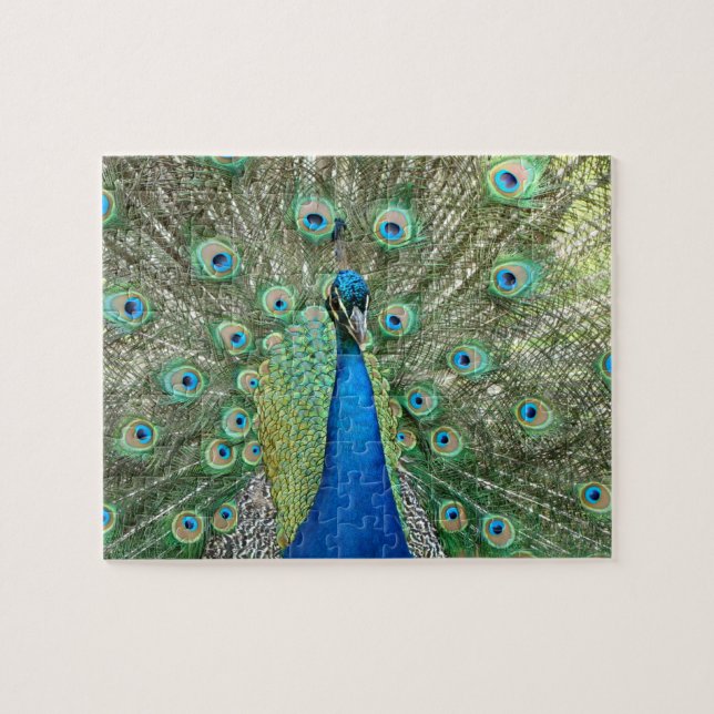 Peacock Puzzle (Horizontal)