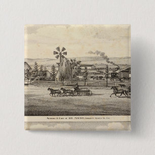 Peacock res, Willow Glen 15 Cm Square Badge