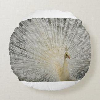 peacock  round cushion