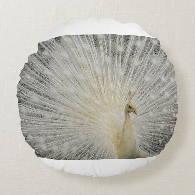 peacock  round cushion (Front)