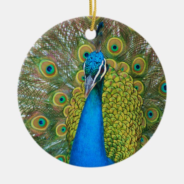 Peacock S9K.jpg Ceramic Tree Decoration (Front)