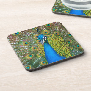 Peacock S9K.jpg Coaster