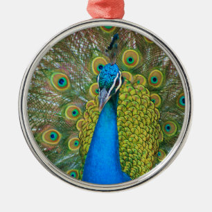 Peacock S9K.jpg Metal Tree Decoration