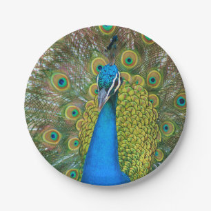 Peacock S9K.jpg Paper Plate
