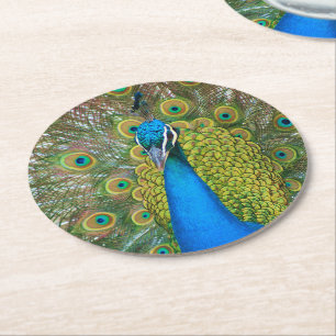 Peacock S9K.jpg Round Paper Coaster