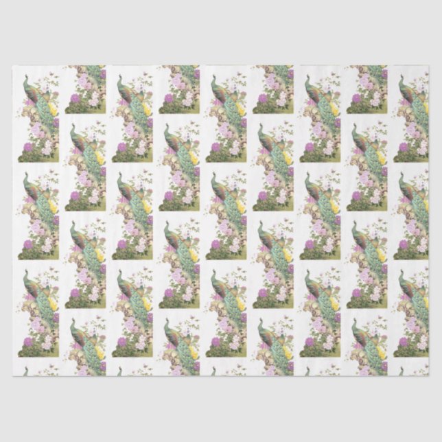 Peacock Series Design  5 Tissue Paper (Front)