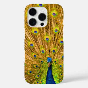 Peacock, Silver Falls, Kauai, Hawaii iPhone 16 Pro Case