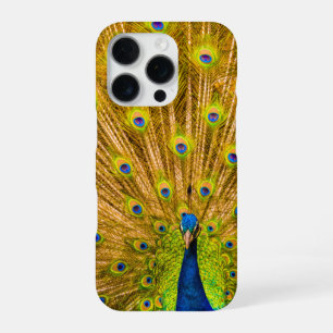 Peacock, Silver Falls, Kauai, Hawaii iPhone 16 Pro Case