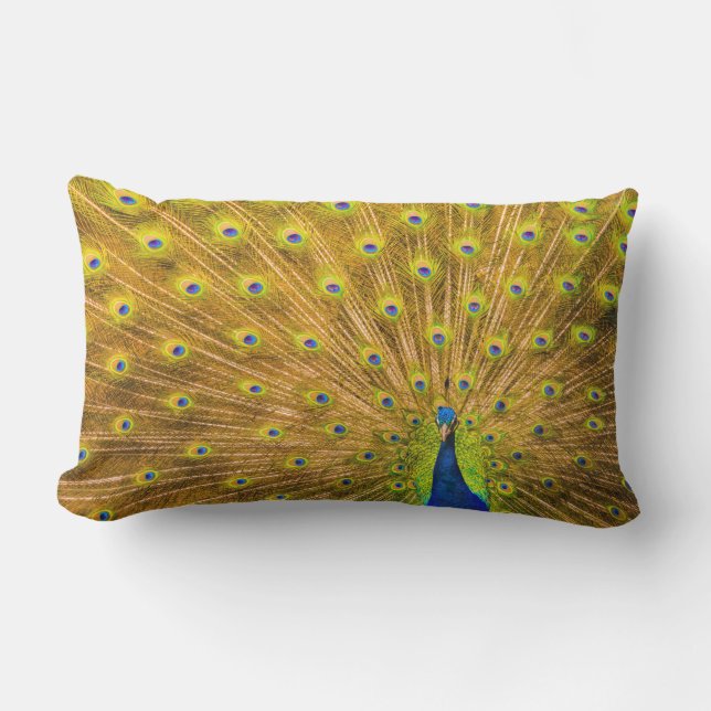 Peacock, Silver Falls, Kauai, Hawaii Lumbar Cushion (Front)