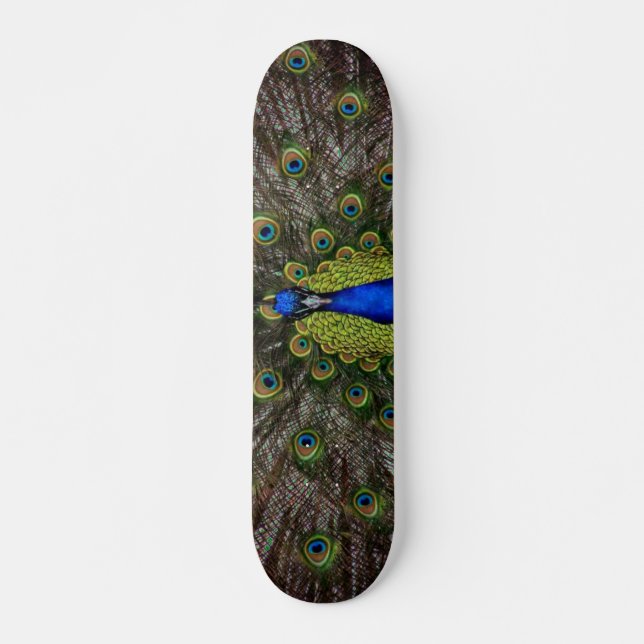 Peacock Skateboard (Front)