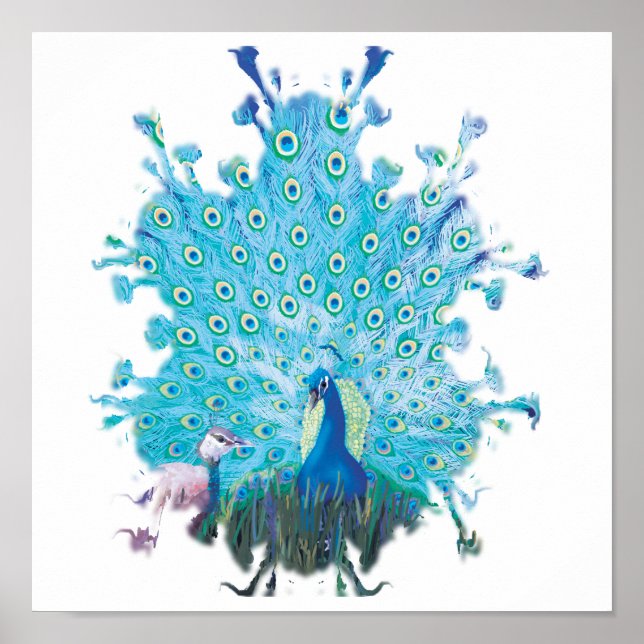 Peacock spirit poster (Front)